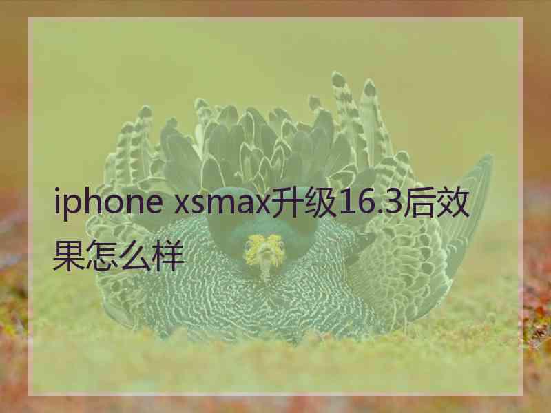 iphone xsmax升级16.3后效果怎么样