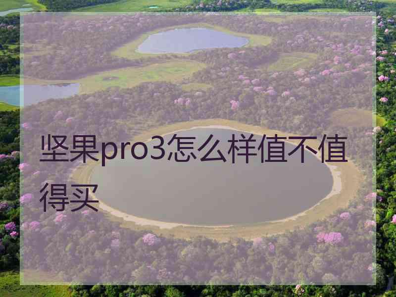 坚果pro3怎么样值不值得买