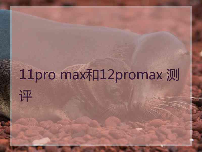 11pro max和12promax 测评