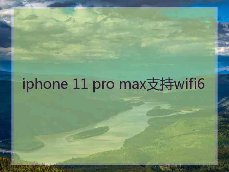 iphone 11 pro max支持wifi6