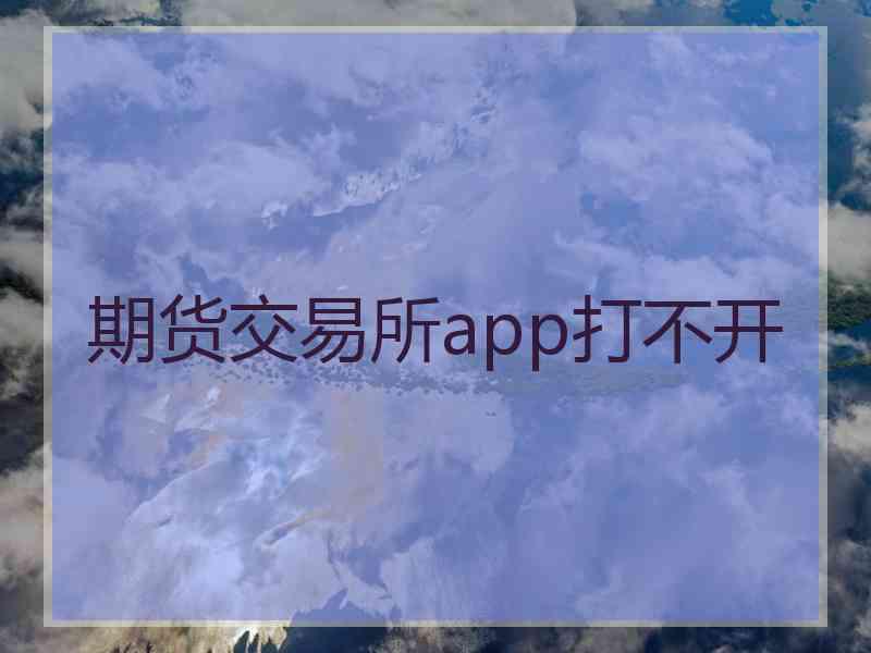 期货交易所app打不开