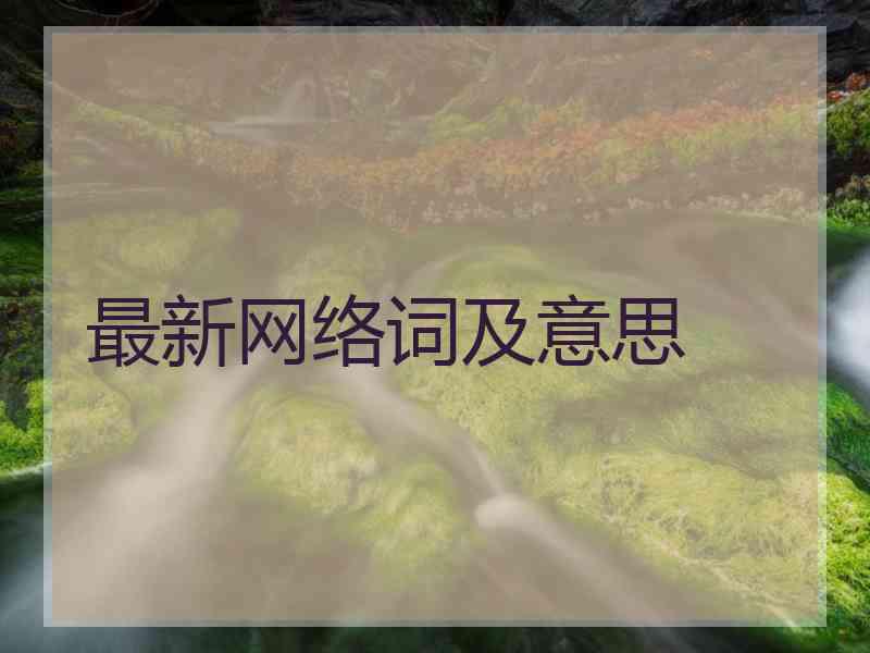 最新网络词及意思