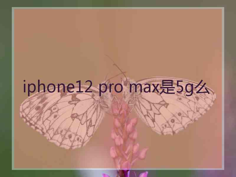 iphone12 pro max是5g么