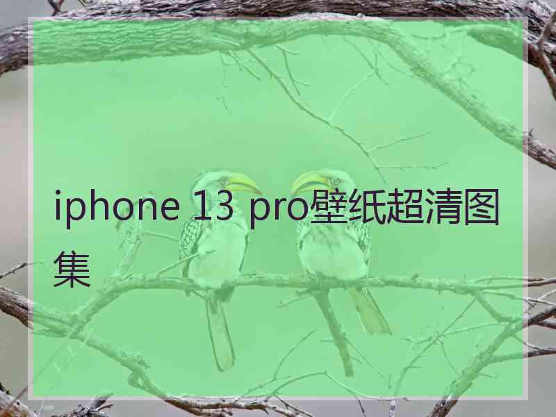 iphone 13 pro壁纸超清图集