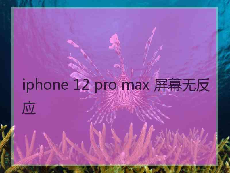 iphone 12 pro max 屏幕无反应