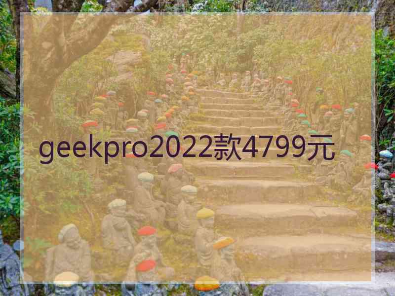 geekpro2022款4799元