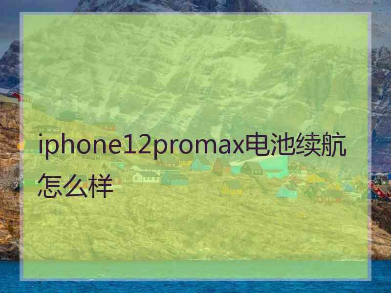 iphone12promax电池续航怎么样