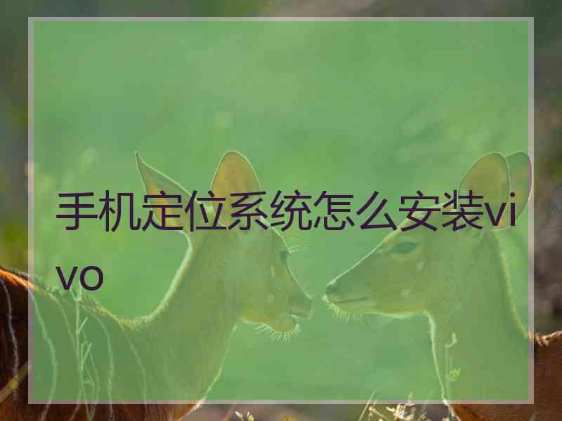 手机定位系统怎么安装vivo