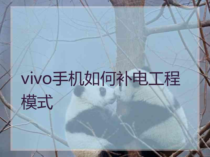 vivo手机如何补电工程模式