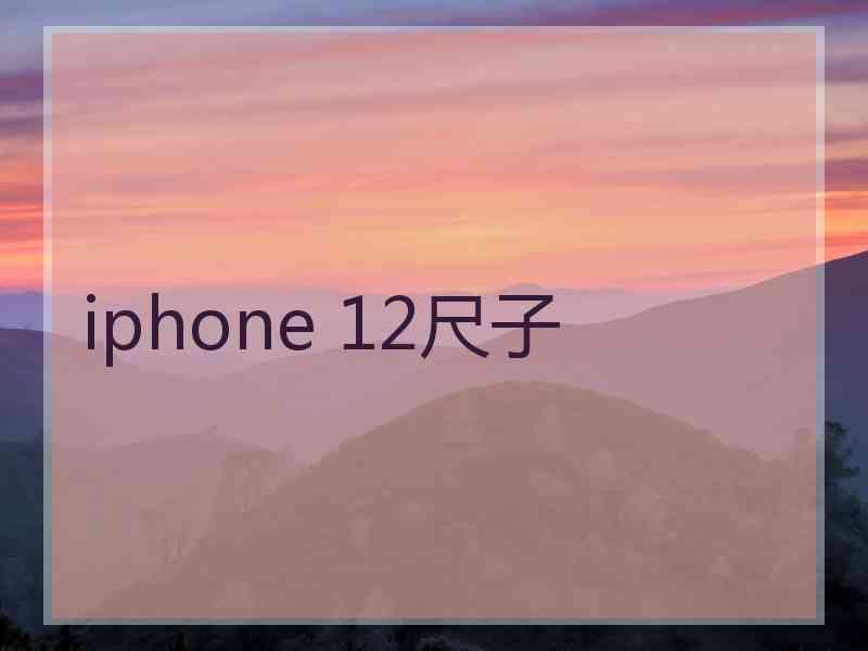 iphone 12尺子