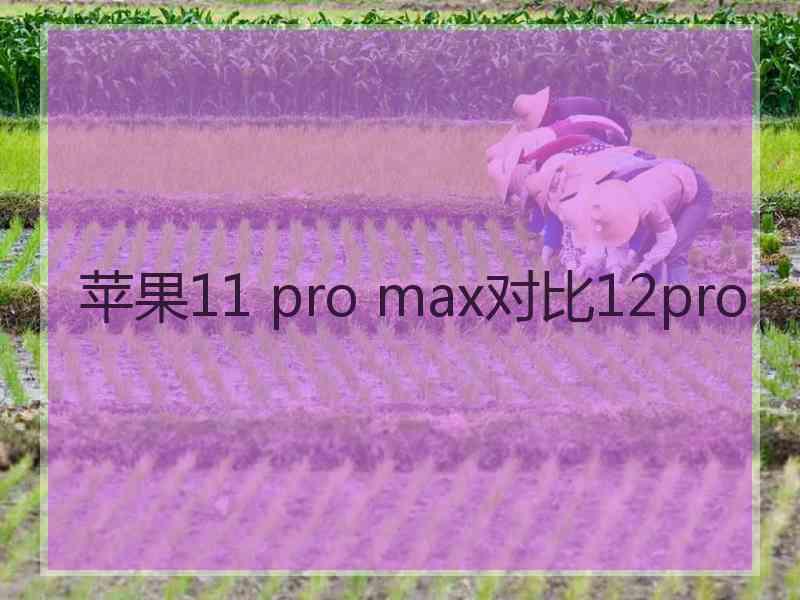 苹果11 pro max对比12pro