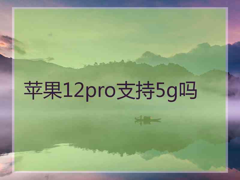 苹果12pro支持5g吗