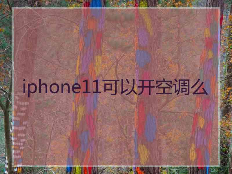 iphone11可以开空调么