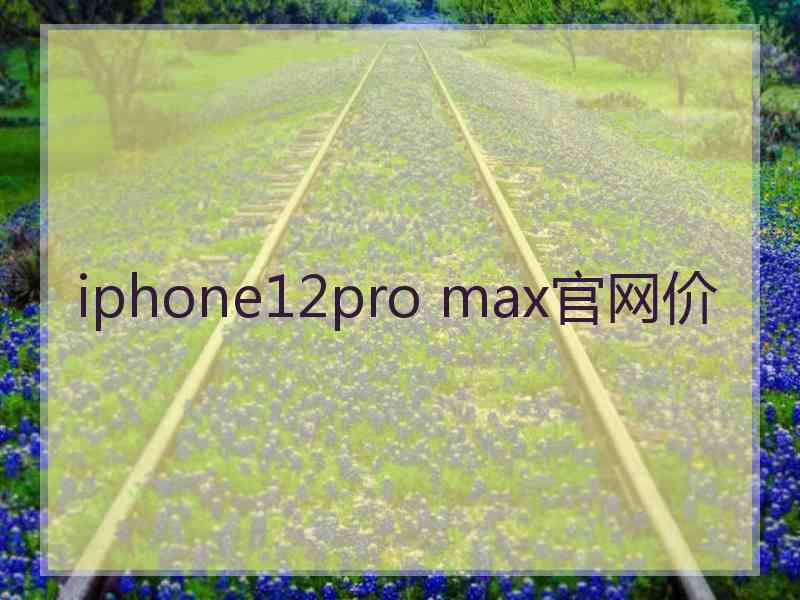 iphone12pro max官网价