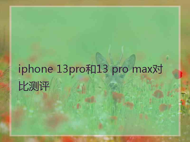 iphone 13pro和13 pro max对比测评