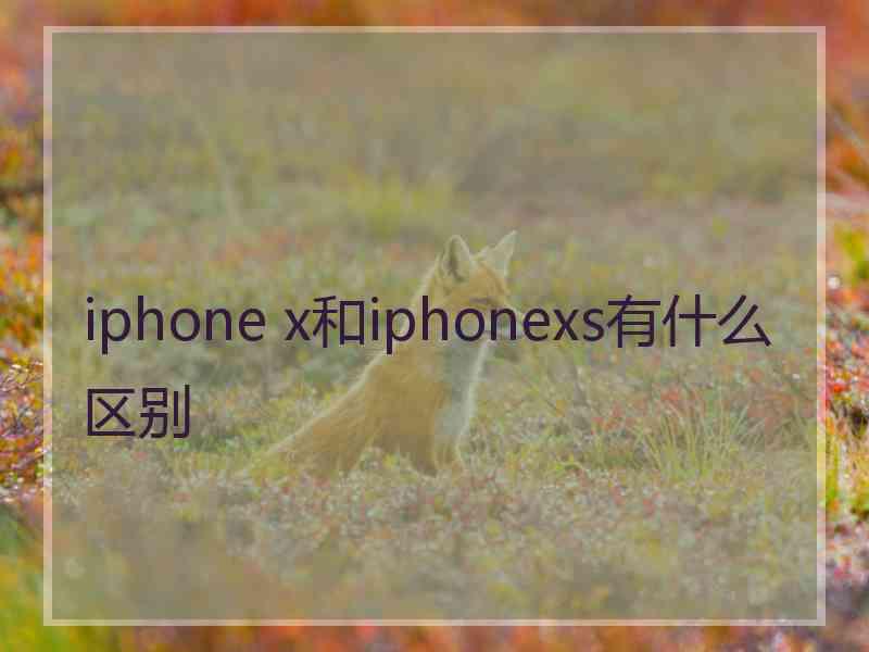 iphone x和iphonexs有什么区别