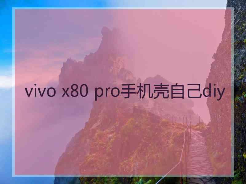 vivo x80 pro手机壳自己diy