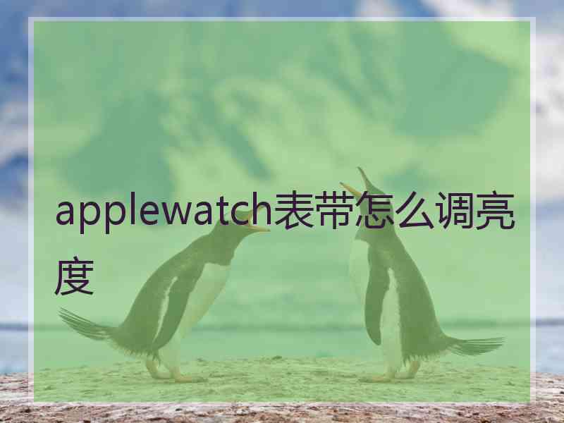 applewatch表带怎么调亮度