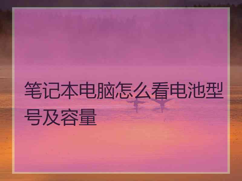 笔记本电脑怎么看电池型号及容量