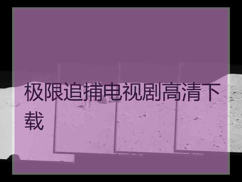 极限追捕电视剧高清下载