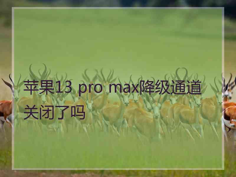 苹果13 pro max降级通道关闭了吗