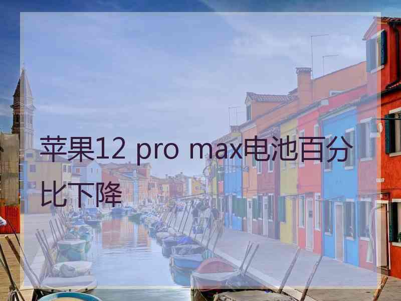 苹果12 pro max电池百分比下降