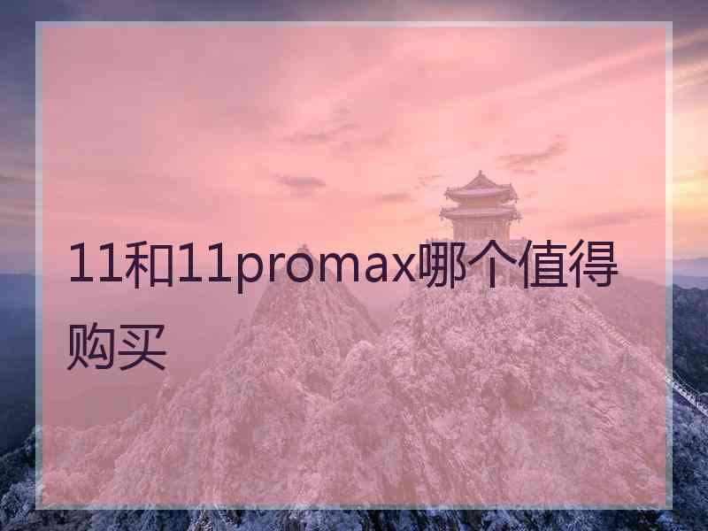 11和11promax哪个值得购买