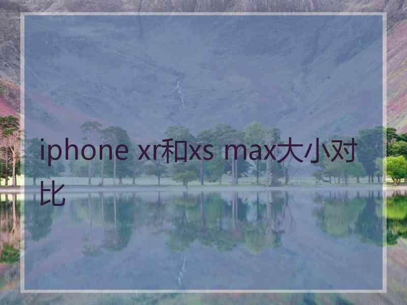 iphone xr和xs max大小对比