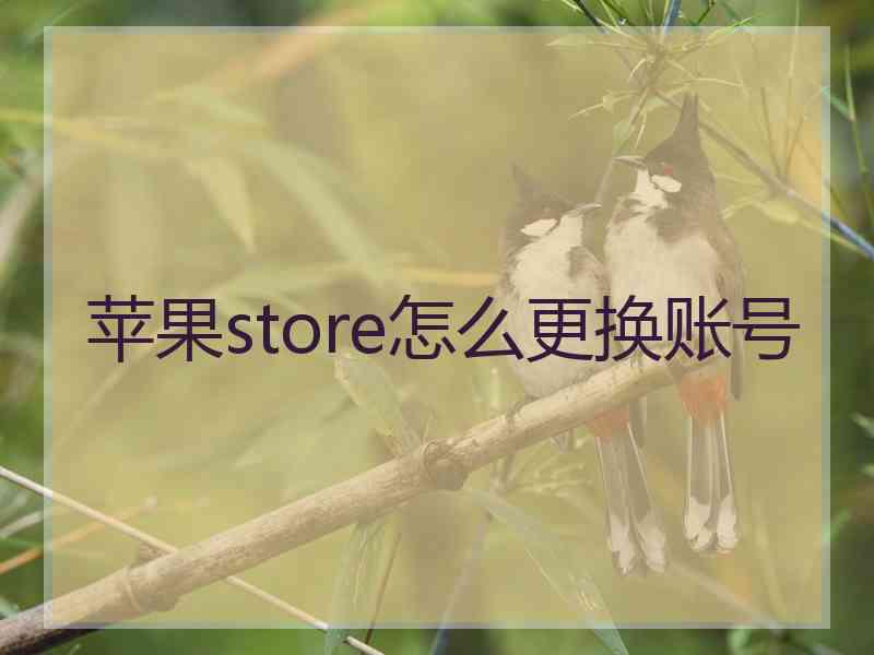 苹果store怎么更换账号