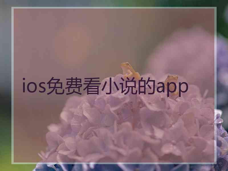 ios免费看小说的app