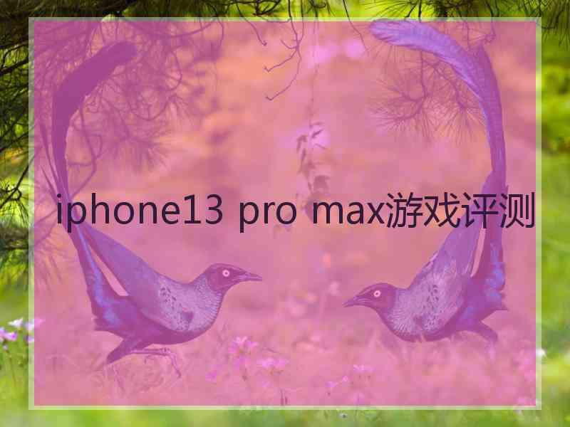 iphone13 pro max游戏评测