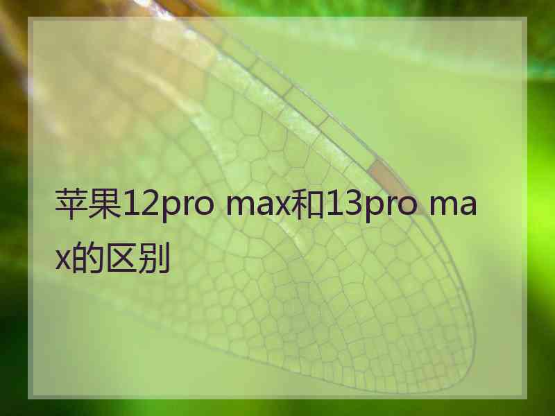 苹果12pro max和13pro max的区别