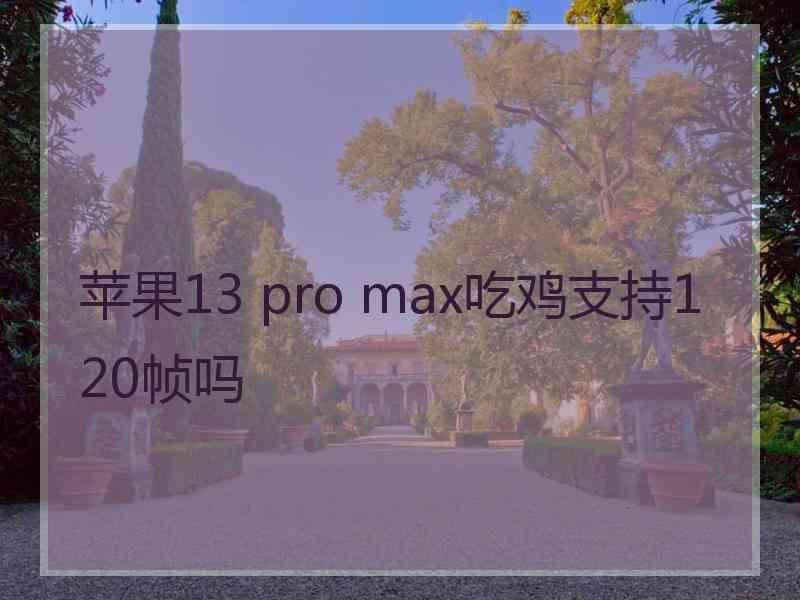 苹果13 pro max吃鸡支持120帧吗