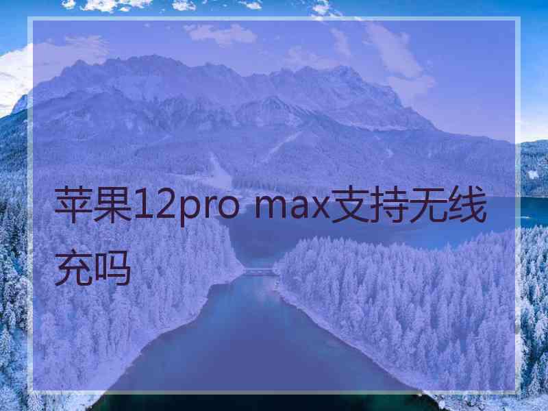 苹果12pro max支持无线充吗