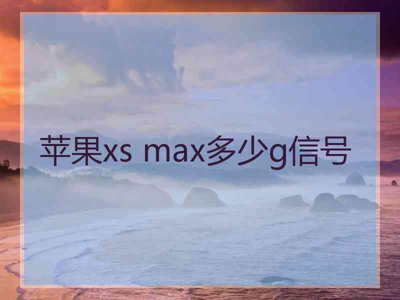 苹果xs max多少g信号