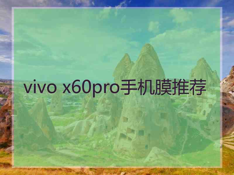 vivo x60pro手机膜推荐