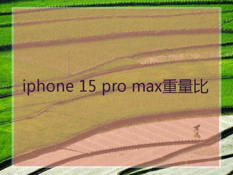 iphone 15 pro max重量比