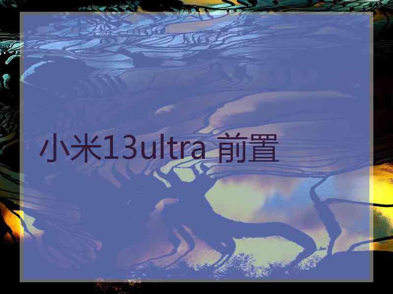 小米13ultra 前置