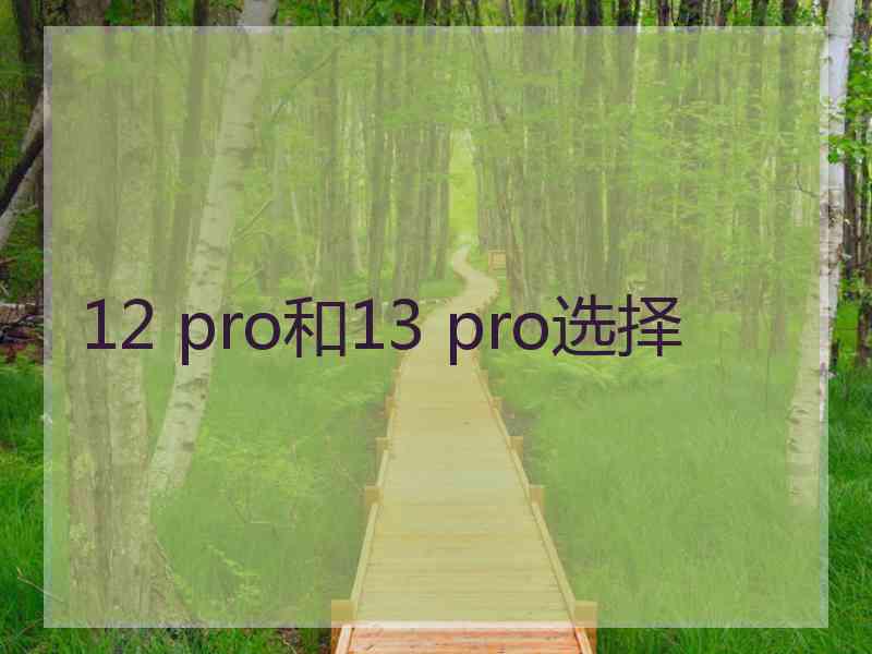 12 pro和13 pro选择