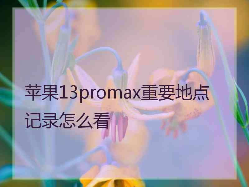 苹果13promax重要地点记录怎么看