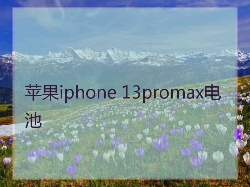 苹果iphone 13promax电池