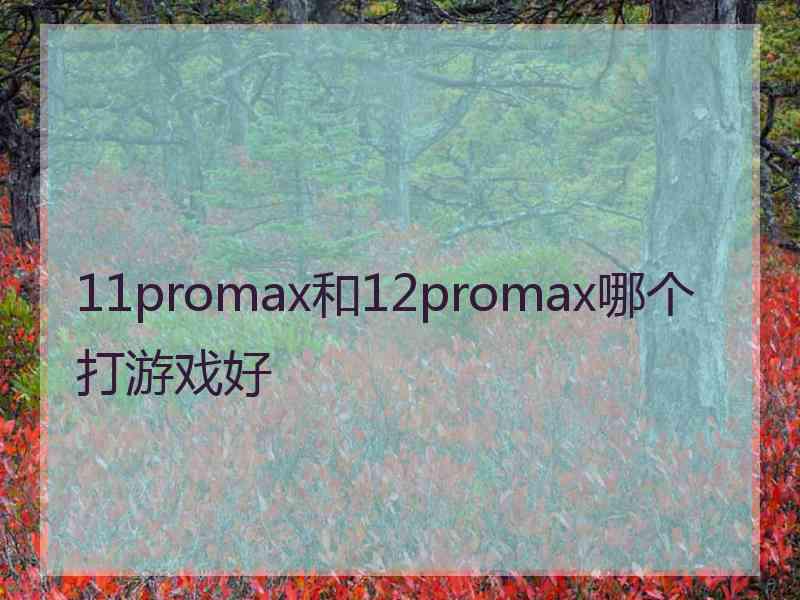 11promax和12promax哪个打游戏好