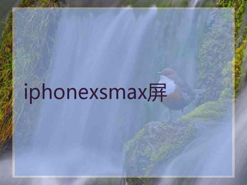 iphonexsmax屏