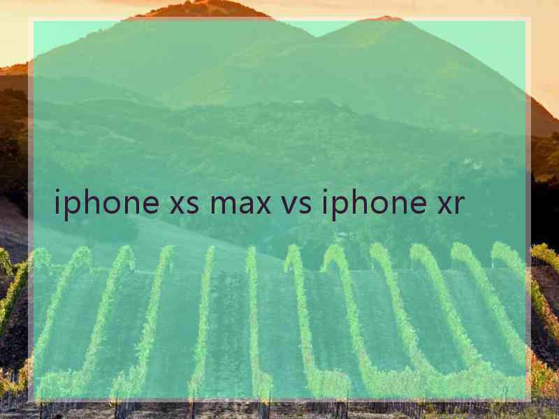 iphone xs max vs iphone xr