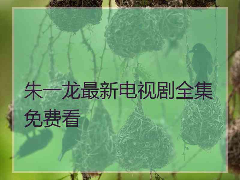 朱一龙最新电视剧全集免费看