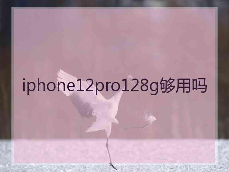 iphone12pro128g够用吗