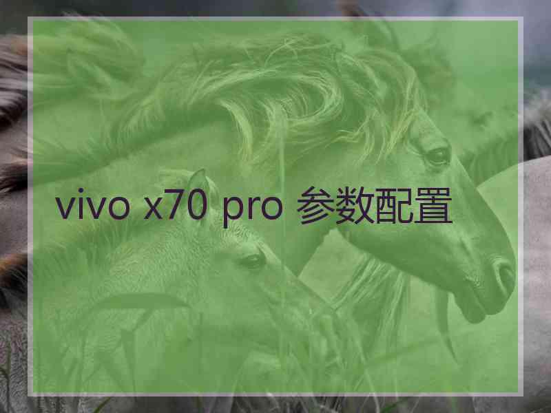 vivo x70 pro 参数配置