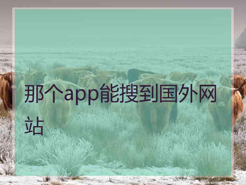 那个app能搜到国外网站