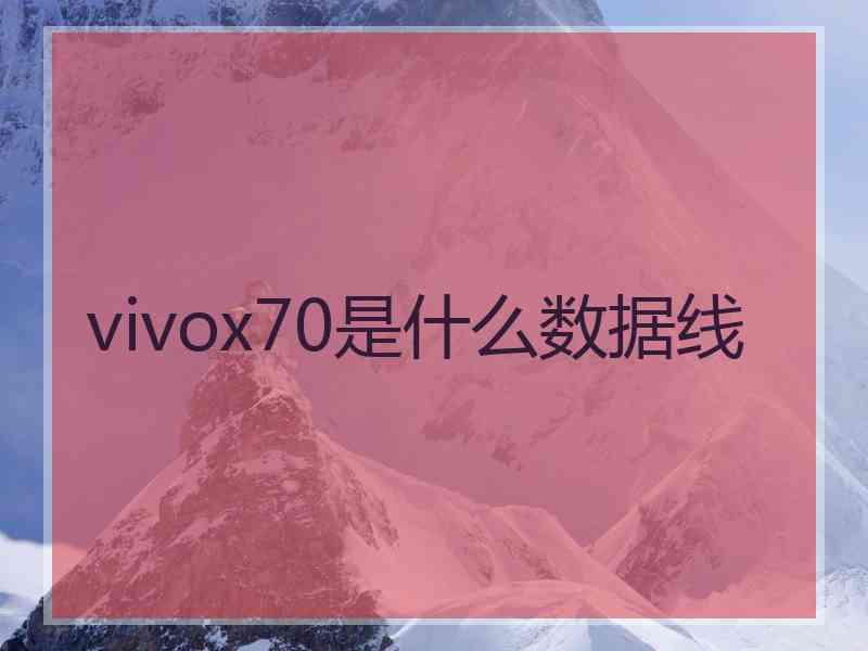 vivox70是什么数据线