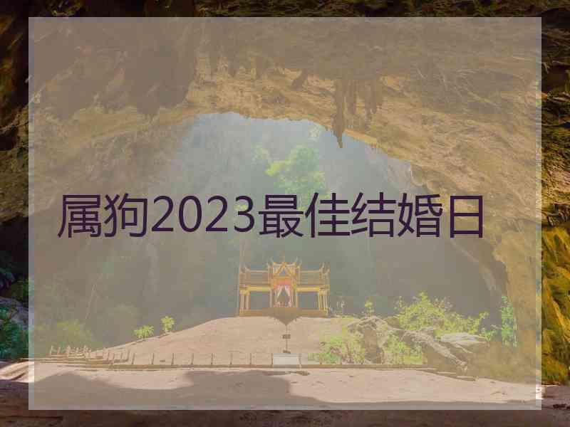 属狗2023最佳结婚日